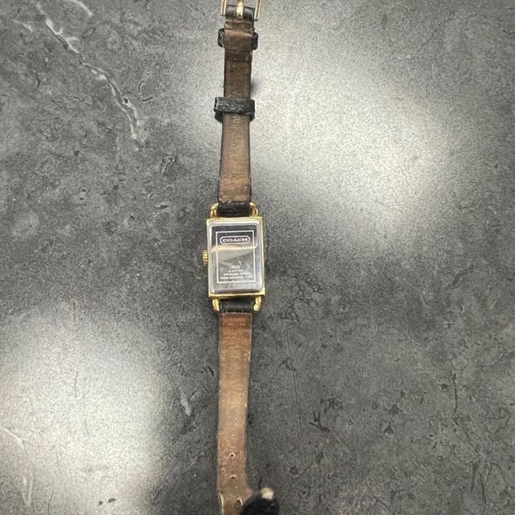 Coach Liz Ladies Watch with Black Alligator Embossed Strap main image 6